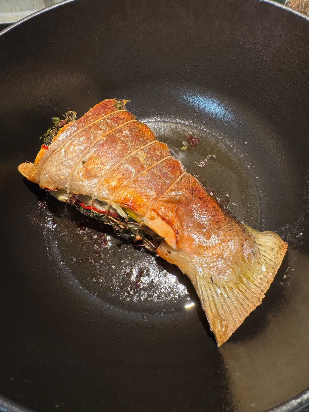 Chef Selection Fish Box